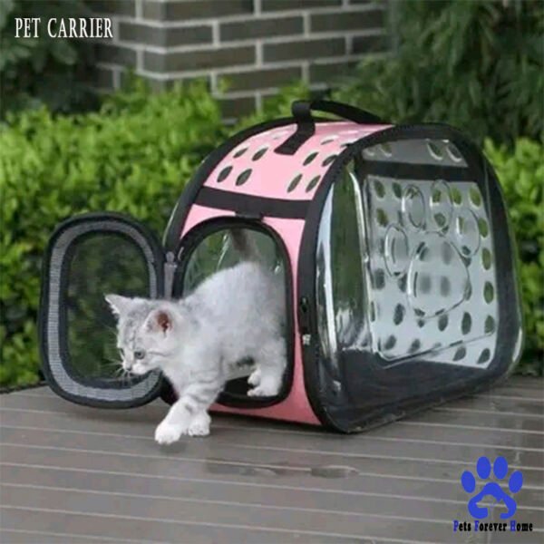 Travel Pet Carrier