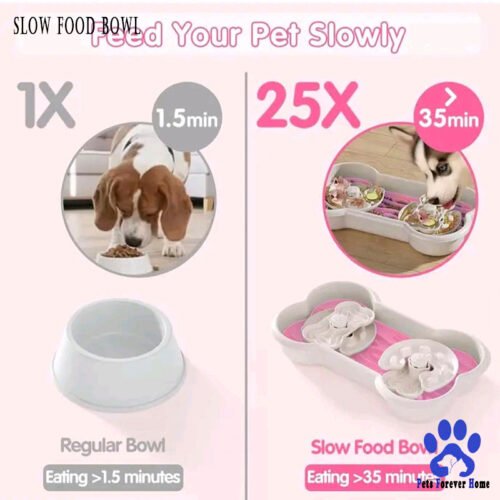 SlowFlow Anti-Gulping Feeder Bowl