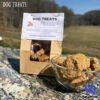 PureBites Freeze-Dried Dog Treats – 100% Single Ingredient