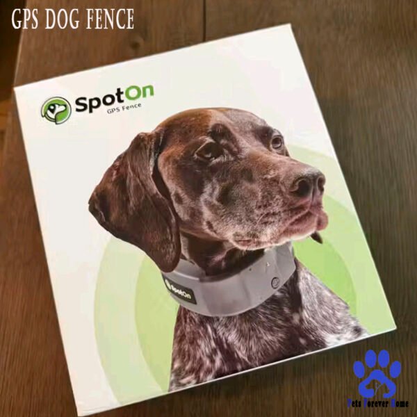 SafeTrack GPS Wireless Dog Fence System