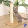 CozyClaw Cat Scratcher Lounge