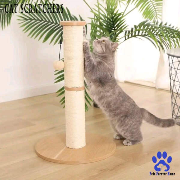 CozyClaw Cat Scratcher Lounge