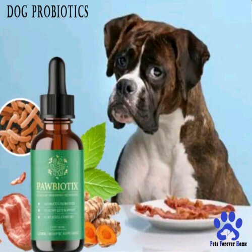 Probiotic+ Digestive Support for Dogs