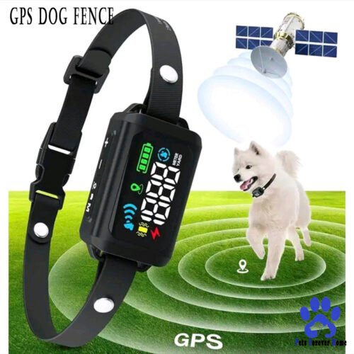 SafeTrack GPS Wireless Dog Fence System