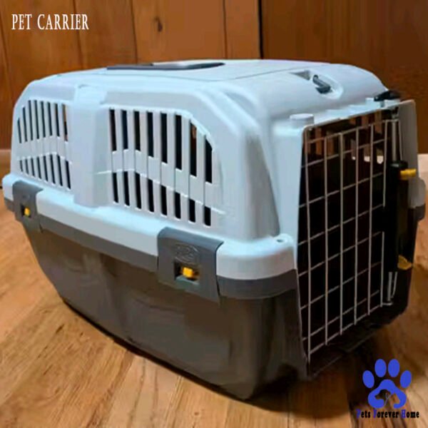 Travel Pet Carrier