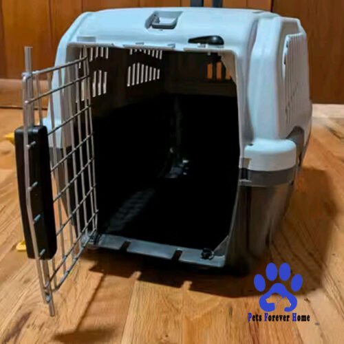 Travel Pet Carrier