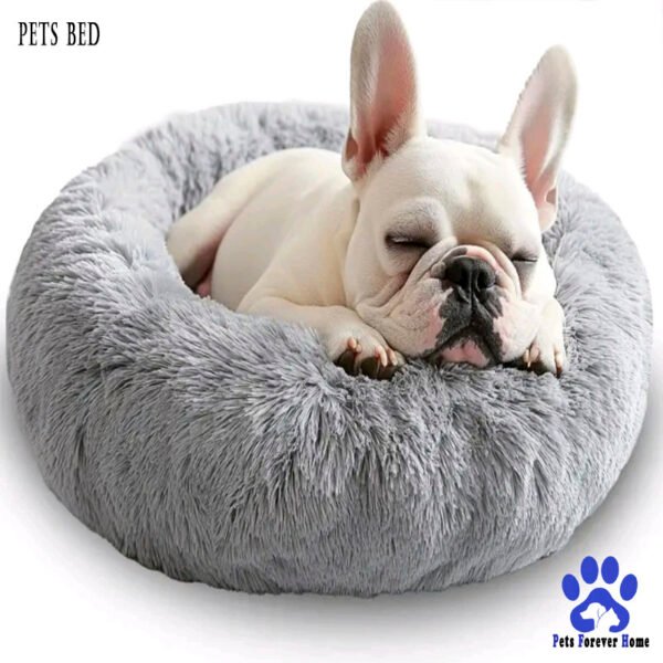 CloudNest Orthopedic Pet Bed