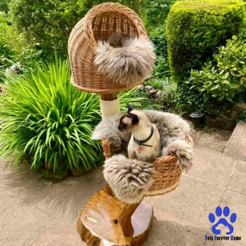 CloudPerch Deluxe Cat Tree Tower