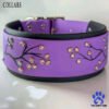 Collar and Leash Set Everyday Explorer