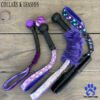 Collar and Leash Set Everyday Explorer