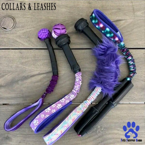 Collar and Leash Set Everyday Explorer