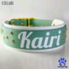 Collar and Leash Set Everyday Explorer