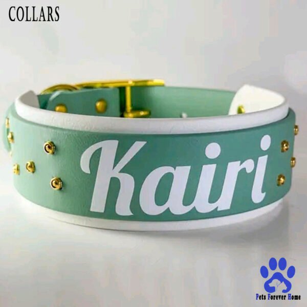 Collar and Leash Set Everyday Explorer