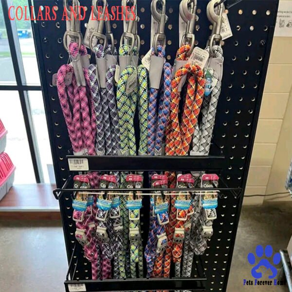 Collar and Leash Set Everyday Explorer