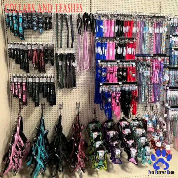Collar and Leash Set Everyday Explorer